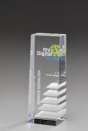 Zeige Details für Steps to Success Award Bild von Steps to Success Award