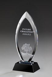 Zeige Details für Majestic Award Bild von Majestic Award