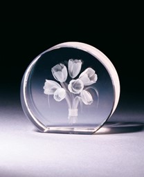 Zeige Details für Tulpen Tulpenstrauss in Glasblock - 3D-Glas mit realistischem Textur-Effekt Bild von Tulpen Tulpenstrauss in Glasblock - 3D-Glas mit realistischem Textur-Effekt