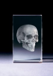 Zeige Details für Schädel Totenkopf in Glasblock - 3D-Glas mit realistischem Textur-Effekt Bild von Schädel Totenkopf in Glasblock - 3D-Glas mit realistischem Textur-Effekt