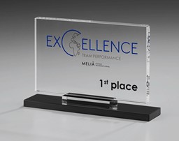 Zeige Details für Crystal Screen Elegance Award Bild von Crystal Screen Elegance Award