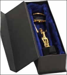 Zeige Details für Geschenkkarton für Champions Award Bild von Geschenkkarton für Champions Award