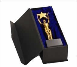 Zeige Details für Geschenkkarton für Star Achievement Award Bild von Geschenkkarton für Star Achievement Award