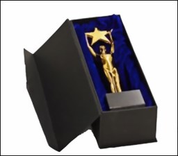 Bild von Geschenkkarton für Star Achievement Award