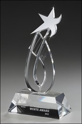 Bild von Dynamic Star Award