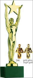 Bild von Star Achievement Award glanzgold-farbig BUDGET