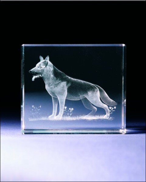 Bild von Schäferhund 3D-Glas mit raffiniertem Textur-Effekt !