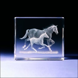 Bild von Pferd mit Fohlen in Glasblock - 3D-Glas mit realistischem Textur-Effekt