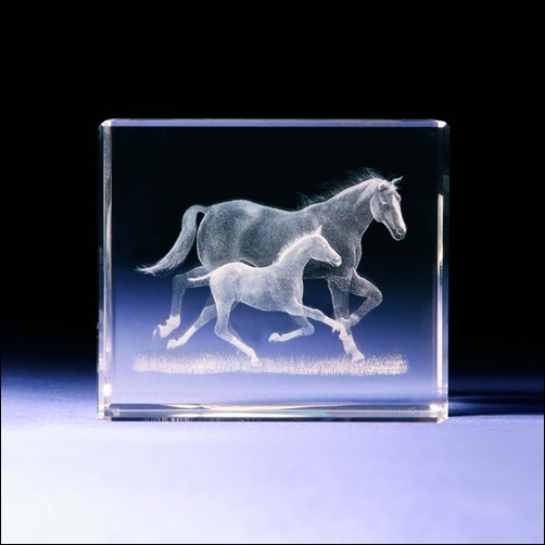 Awards Fur Events Und Golfturniere Pferd Mit Fohlen 3d Glas Mit Raffiniertem Textur Effekt