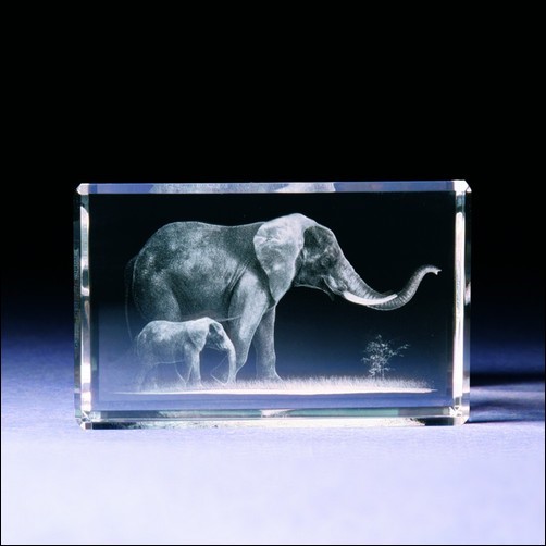 Bild von Elefant mit Baby 3D-Glas mit raffiniertem Textur-Effekt !