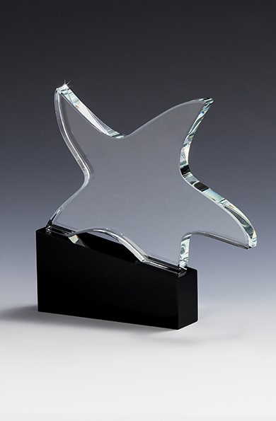 Bild von Crystal Design Star Award