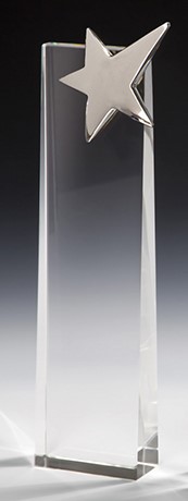 Bild von Silver Star Crystal Tower Award