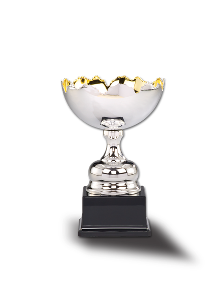 Bild von Pokal CUP KING