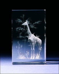 Bild von Giraffe in Glasblock - 3D-Glas mit realistischem Textur-Effekt