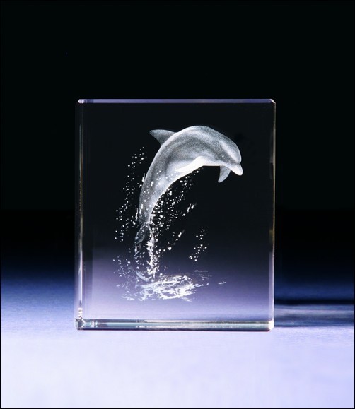 Bild von Delphin  3D-Glas mit raffiniertem Textur-Effekt !