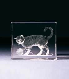 Bild von Katze mit Wollknäuel in Glasblock - 3D-Glas mit realistischem Textur-Effekt