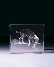 Bild von Hund grabend in Glasblock - 3D-Glas mit realistischem Textur-Effekt