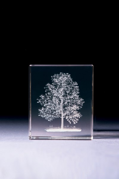 Bild von Baum in Glasblock - 3D-Glas mit realistischem Textur-Effekt