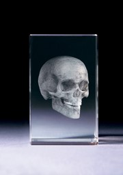 Bild von Schädel Totenkopf in Glasblock - 3D-Glas mit realistischem Textur-Effekt
