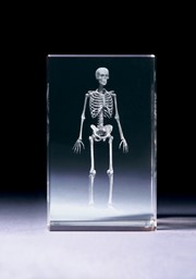 Bild von Sehr detailreiches Skelett in Glasblock - 3D-Glas mit realistischem Textur-Effekt