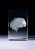 Bild von Gehirn in Glasblock - 3D-Glas mit realistischem Textur-Effekt