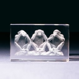 Bild von 3 Affen in Glasblock - 3D-Glas mit realistischem Textur-Effekt